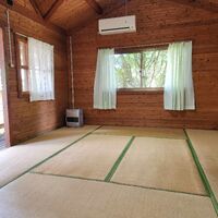 画像1453：りんどう
