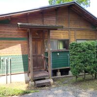 画像1455：りんどう