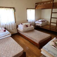 画像1458：りんどう