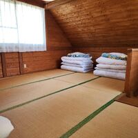 画像1462：りんどう